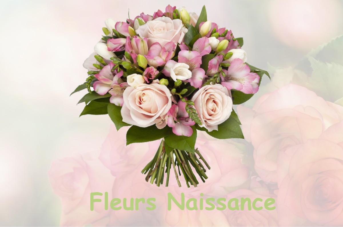 fleurs naissance LARROQUE-SAINT-SERNIN